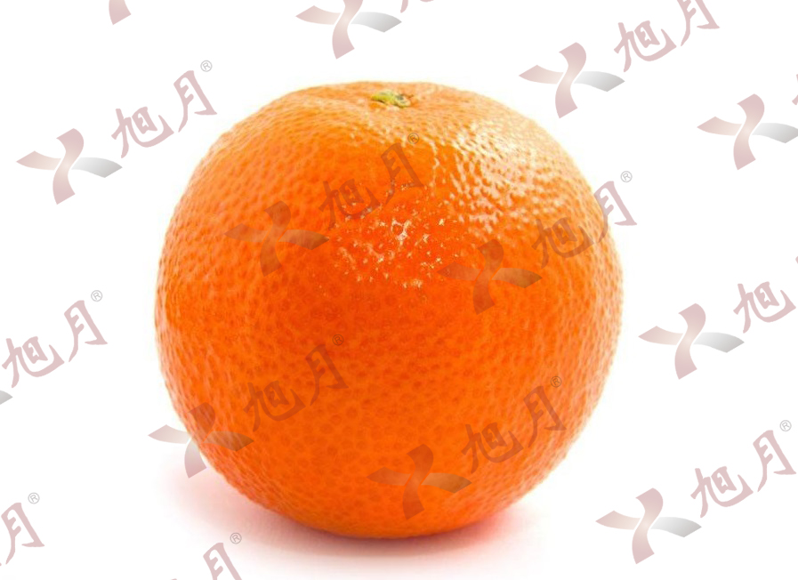 水果果实
