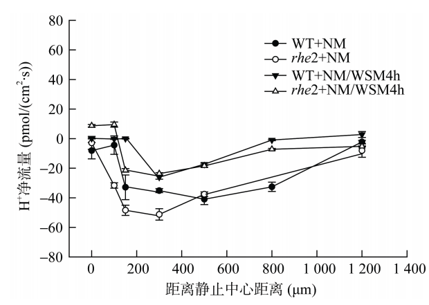 ganhanxiepo6